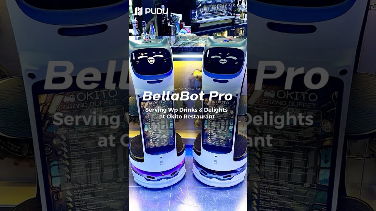 Pudu BellaBot Pro filo robot