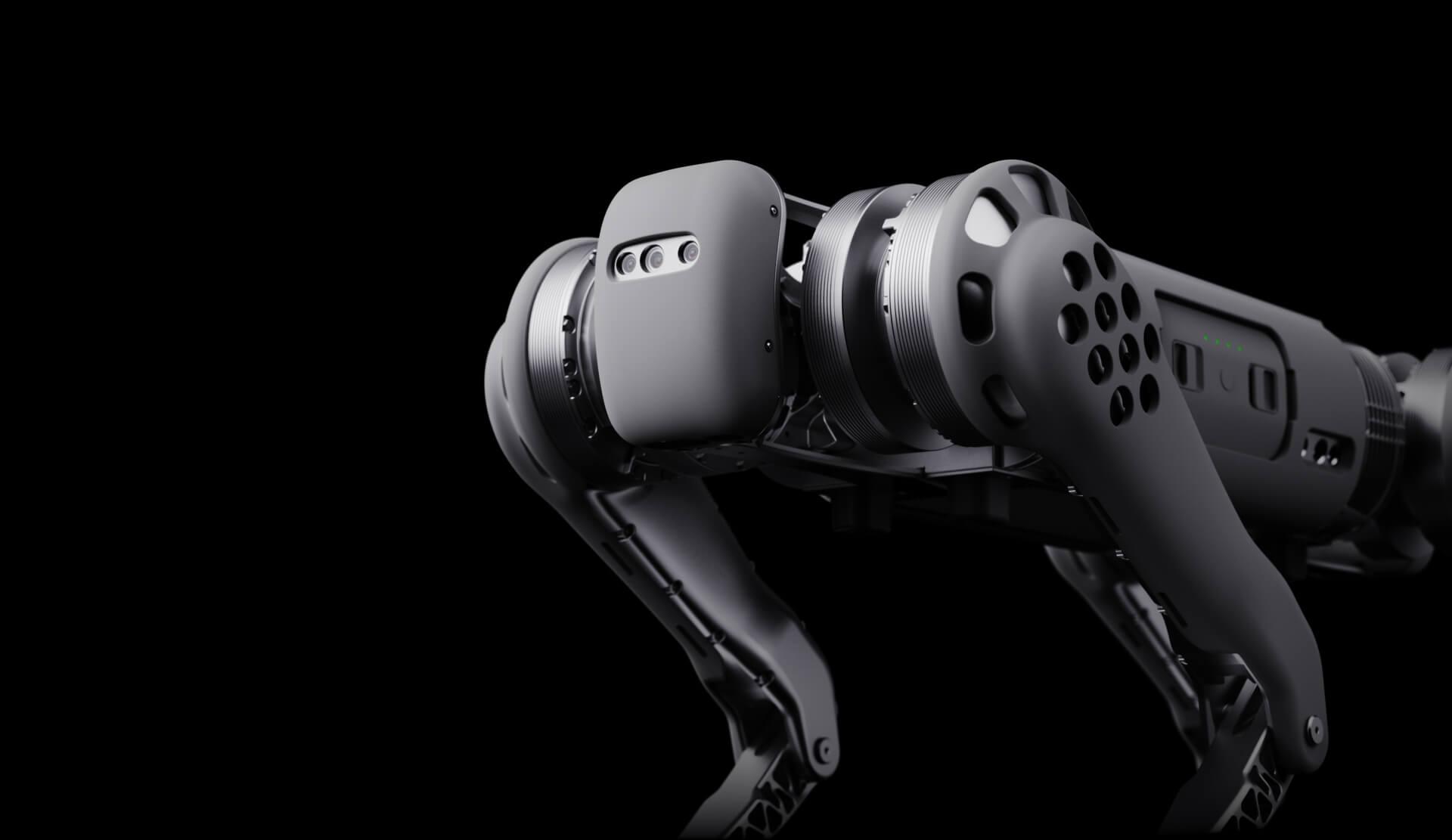 Unitree B1 filo robot