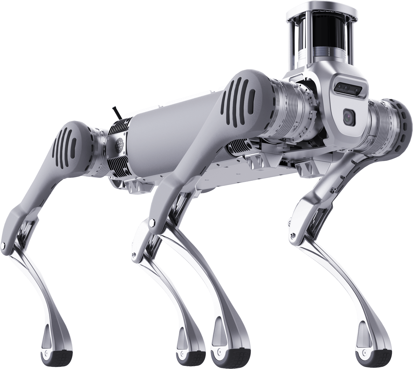 Unitree B2 filo robot